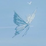 sonne_emb's profile picture