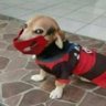 Profilbild von milly