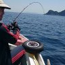ネコスキー profil fotoğrafı