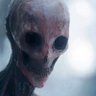 Lurking Phantom's profile picture