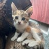 🐈ERI🐈's profile picture