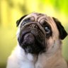 Noosense's profile picture