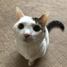 脱肛王子ケン's profile picture