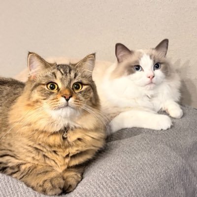 doidoi365's profile picture