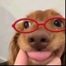 Miki's profile picture