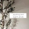 Profilbild von ندى
