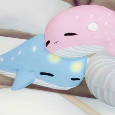 shdxtqy0306's profile picture