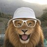 Hs 819's profile picture