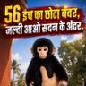 56" का छोटा बंदर सदन में आओ profil fotoğrafı