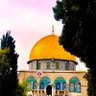 𝑺𝒂𝒋𝒆𝒅𝒂 𝑨𝒍𝒂𝒚𝒐𝒖𝒃𝒊 𓂆 🇵🇸 的头像