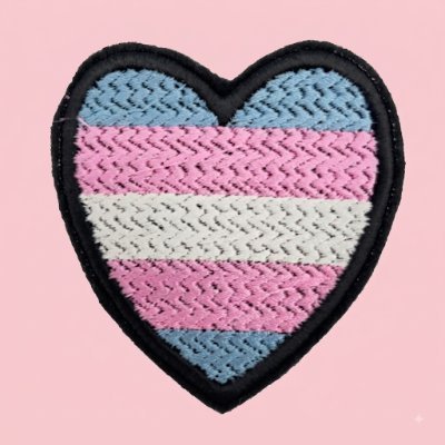 TransCurator's profile picture