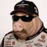 Dale WiggerPig's profile picture