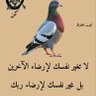 صادق وفي profil fotoğrafı