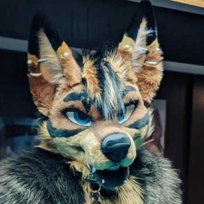 SpikeCoyote's profile picture