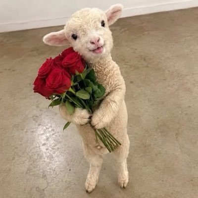 raniya_ad's profile picture
