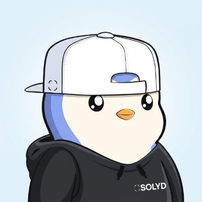 SOLYD_STORE's profile picture