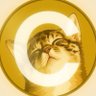 Krypto King's profile picture