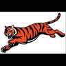 TheLeapingTiger's profile picture
