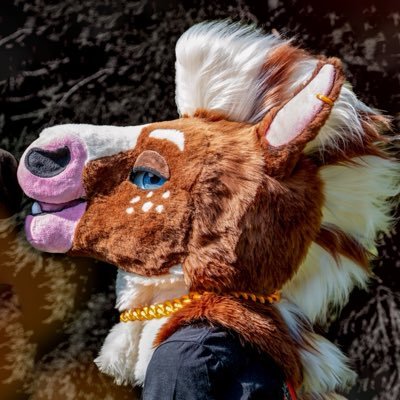 Bailey The Hoss ✨'s profile picture