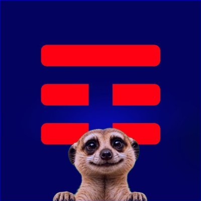 TIMBrasil's profile picture