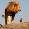 KHALID's profile picture
