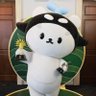 Noomnim🐳💙🐻❄️ profil fotoğrafı