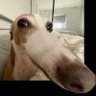 GALA FEDAİSİ's profile picture