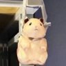 Profilbild von holly
