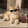 Shuthida's profile picture