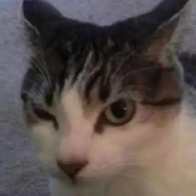 Scott who isn't real's profile picture