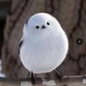 PanicFirstThinkLater's profile picture