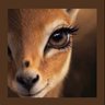 رهف's profile picture