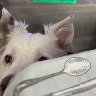 lrryt91's profile picture