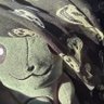 theresnoend's profile picture