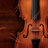 Profilbild von Caladri
