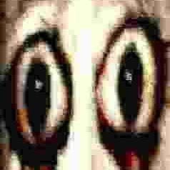 storkiiofficial's profile picture
