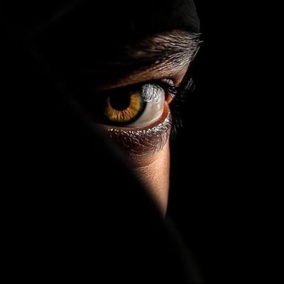 heis_albee's profile picture