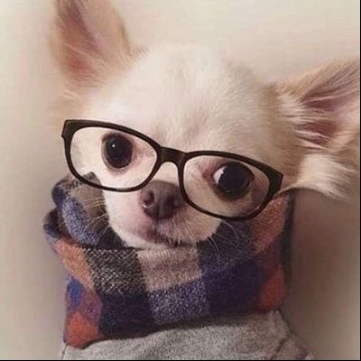 승아아범's profile picture