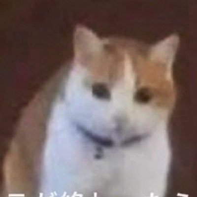 Nutsny09250's profile picture