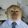 Bolu TheProducer(blue tick)'s profile picture