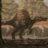 Фото профиля DINOSPINO