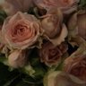 Nawal 🫡🇰🇼 profil fotoğrafı
