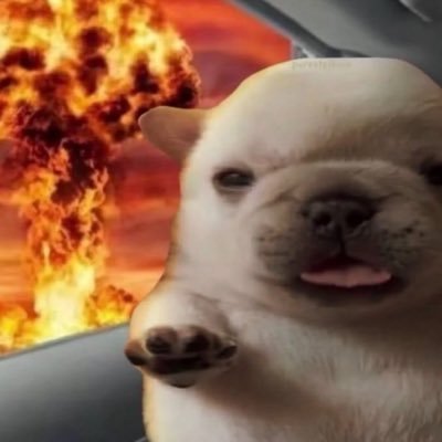 towi's profile picture