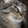 Profilbild von Casey