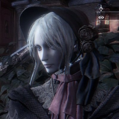 dryturtl's profile picture