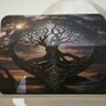 Фото профиля Eisbär Spandower