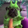 Dratatoz profil fotoğrafı
