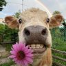 Фото профиля jetaa_