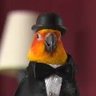 Birdprenorphine 的头像
