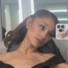 petal's profile picture